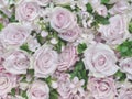 Blurred of sweet flower in pastel color style on soft blur bokeh texture for background Royalty Free Stock Photo