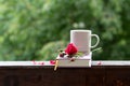 A rose flower, a book and a cup of coffee. Still life on the windowsill