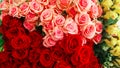 Rose - Flower, Bouquet, Flower, Dozen Roses, Bunch of Flowers