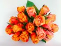 Rose - Flower, Bunch of Flowers, Bouquet, Flower, Vase Royalty Free Stock Photo