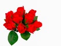 Rose - Flower, Bunch of Flowers, Bouquet, Flower, Vase Royalty Free Stock Photo