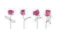 Rose flower continuous line drawing set collections