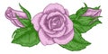 Rose Flower Design Woodcut Vintage Retro Style