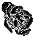 Rose Flower Design Woodcut Vintage Retro Style