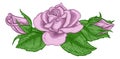 Rose Flower Design Woodcut Vintage Retro Style