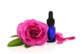 Rose Flower Essential Oil Royalty Free Stock Photo