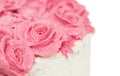 Rose Flower Frosting III Royalty Free Stock Photo