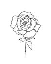 Rose flower icon. Continuous one line drawing.