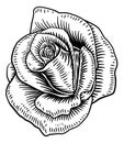 Rose Flower Vintage Woodcut Drawing