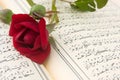 Rose flower and Koran