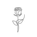 Rose flower line art vector, illustration of minimalist plant. Continuous one line drawing simplicity style