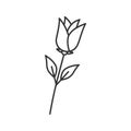 Rose flower linear icon