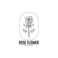 Rose flower logo design template isolated on white background Royalty Free Stock Photo