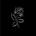 Rose flower logo template, white icon of blossom rose petals silhouette on black background, boutique logotype concept Royalty Free Stock Photo