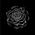 Rose flower logo template, white icon of blossom rose petals silhouette on black background, boutique logotype concept Royalty Free Stock Photo