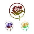 Rose flower logo on white background.Red rose sign symbol logo vector