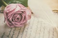 Rose flower with love letters with vintage tone