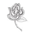 Rose Flower with Money or US One Hundred Dollar Note Bill Printed on Petals Drawing Black and White