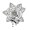 Rose flower monochrome vector illustration. Beautiful rose isolated on white background. Element for design of tattoo Royalty Free Stock Photo