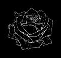 Rose flower monochrome vector illustration. Beautiful white rose isolated on black background. Element for design of tattoo print Royalty Free Stock Photo