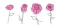 Rose flower one continuous line drawing set element collections. Vector illustration minimalism floral trendy design