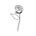 Rose flower one line art single drawing vector illustration minimalist design isolated on white background Royalty Free Stock Photo