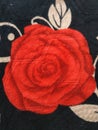 Rose flower pattern with black background of textile.