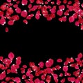 Rose flower petals background with copy space.