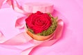 Rose flower in a round box on a pink backdround Royalty Free Stock Photo