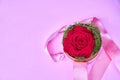 Rose flower in a round box on a pink backdround Royalty Free Stock Photo
