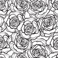 Rose flower seamless pattern. Outline black roses on white background. Stock vector. Royalty Free Stock Photo