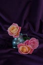 Rose flower in silver jug and two delicate rose flowers