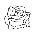 rose flower spring line icon vector illustration