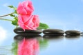 Rose flower on stone with water reflection in sky background