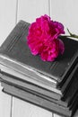 Rose flower on top of a pile of old antique books.  With selective colour Royalty Free Stock Photo