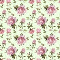 Rose flower on a twig. Seamless floral pattern. Watercolor painting. Hand drawn illustration