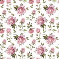 Rose flower on a twig. Seamless floral pattern. Watercolor painting. Hand drawn illustration Royalty Free Stock Photo