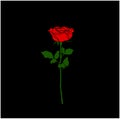 Rose flower vector icon on black background. Red Rose icon