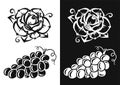 Rose flower and vine grape. Black silhouette. Design element. Vector illustration isolated on white background. Template for books