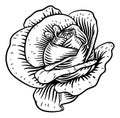 Rose Flower Vintage Woodcut Drawing