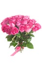 Rose flowers bouquet isolated Royalty Free Stock Photo