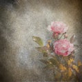 Rose flowers grunge illustration Royalty Free Stock Photo