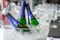 Rose flowers ice cooled sparkling wine and champagne bottle in bucket on a party unlabeled textspace Royalty Free Stock Photo