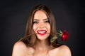 Rose flowers in a mouth. Beauty romantic woman with rose flowers. Seductive sensual woman holding red rose with teeth Royalty Free Stock Photo