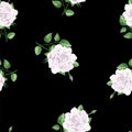 Rose flowers, petals and leaves in watercolor style on black background. Seamless pattern for textile, wrapping paper Royalty Free Stock Photo