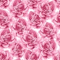 Rose flowers, petals and leaves in watercolor style on white background. Seamless pattern for textile, wrapping paper