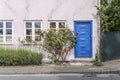 Rose flowers on sidewalk and traditional house with blue entrance door, Helsingor, Denmark Royalty Free Stock Photo