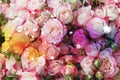 Rose flowers with splashes of light on rainbow textured background