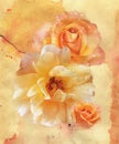 Rose flowers on watercolor background Royalty Free Stock Photo