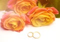 Rose flowers and wedding rings selective focus Royalty Free Stock Photo